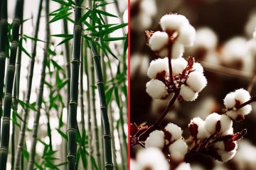 bawełna czy bambus